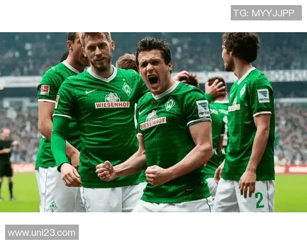 霍芬海姆与不来梅最新动态分析及比赛前瞻详解